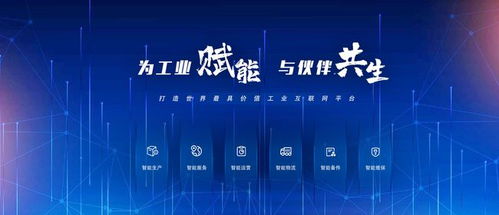 工業(yè)互聯(lián)網(wǎng)的網(wǎng)絡(luò)軟件構(gòu)建之道 企業(yè)實(shí)施路徑與關(guān)鍵策略